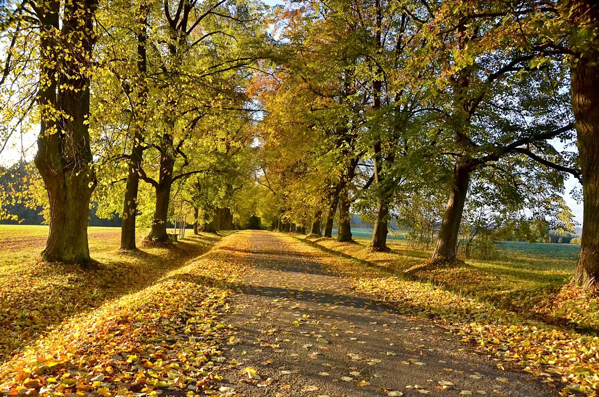 Writing with the Seasons: How Autumn Weather Can Deepen Your Story's Mood